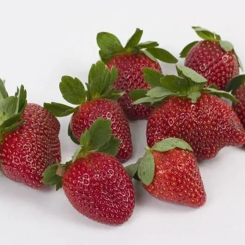 thumbnail for publication: Import Growth and the Impact on the Florida Strawberry Industry